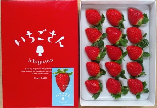 B062　佐賀県産JAからつ　いちごさん（12月上旬より順次発送）