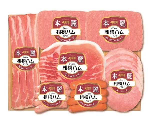 B232　サガミハム本麗ギフト