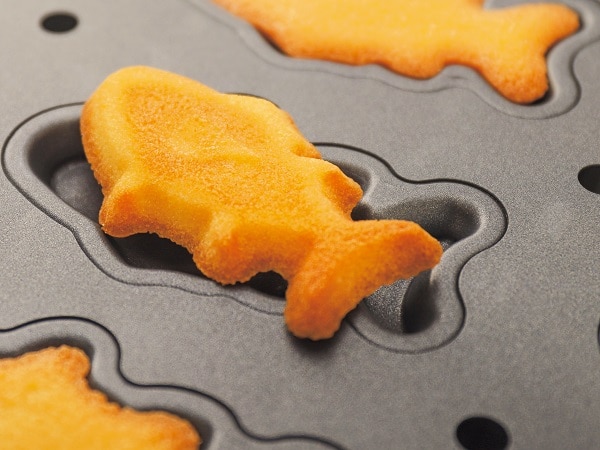 B343 近大フィナンシェ12個入