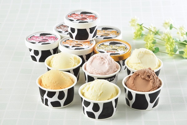 B393 ディームファクトリー 十勝白い牧場アイスコレクション6種11個