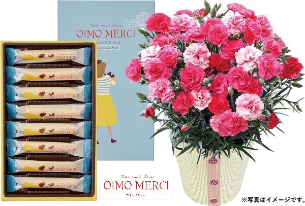 H002 カーネーション（さくらもなか）とオイモメルシー ラングドロール