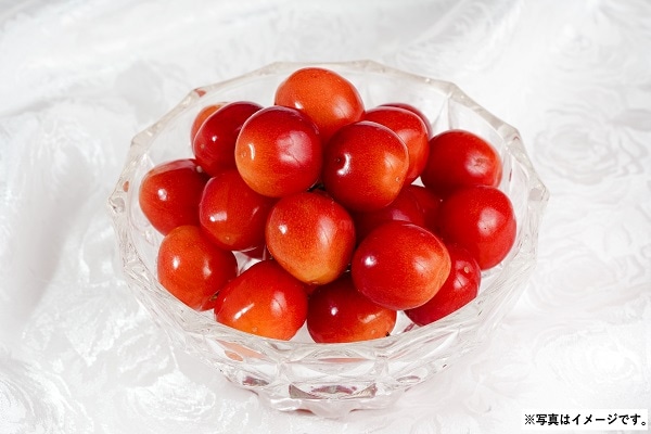 H014 山形県産 さくらんぼ