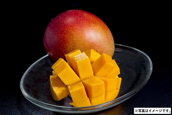 H029 マンゴ（太陽のたまご）