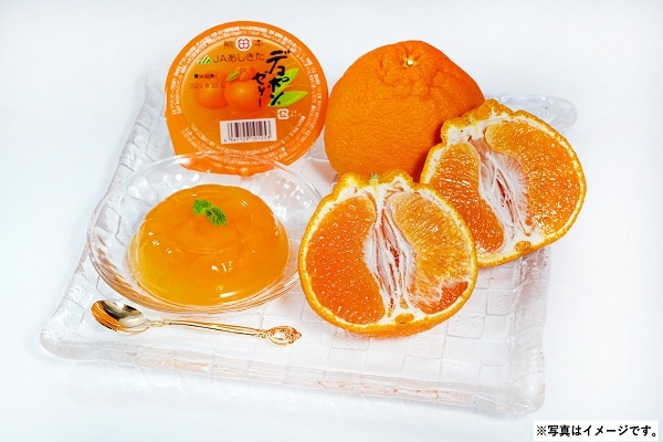 H030 デコポン＆デコポンゼリーセット