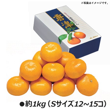 B004 佐賀県産JAからつ ハウスみかん 【６月下旬より順次発送】