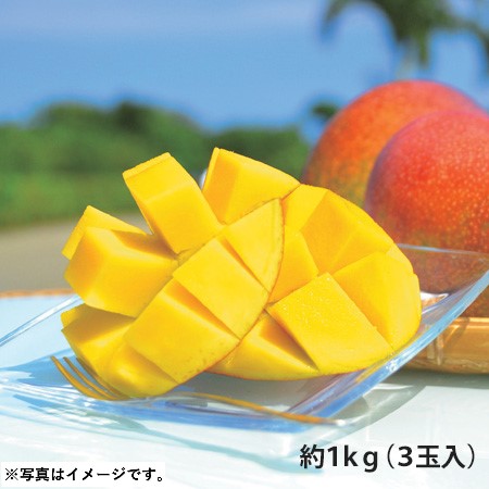 B044 沖縄県宮古島 マンゴ(優) 【７月中旬より順次発送】
