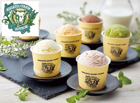 B390 自家製アイスクリーム10個セット