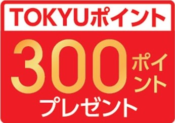 300ポイント