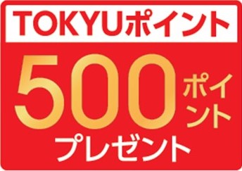 500ポイント
