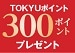 300ポイント